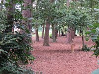 IMG 4238
