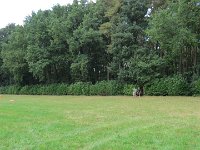 IMG 4243