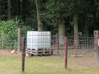IMG 4275