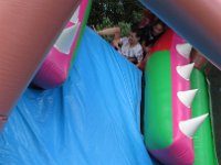 IMG 4337