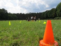 IMG 4350