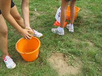 IMG 4368