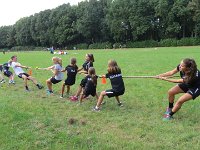 IMG 4510