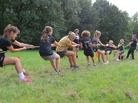 IMG 4533