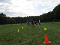 IMG 4569
