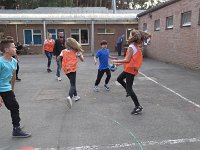 IMG 4729
