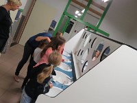 IMG 4947