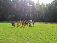 IMG 4992