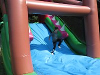 IMG 5208