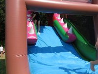 IMG 5315