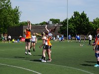 DSC08390