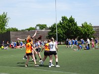 DSC08398