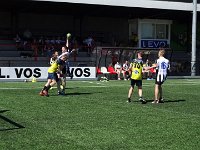 DSC09739