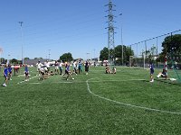 DSC10286